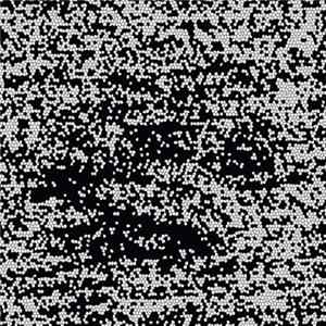 Shxcxchcxsh - NMHNMHNMNMH flac