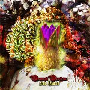 Demorph Desform - Sun Hiatus flac