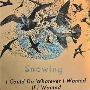 Snowing - I Could Do Whatever I Wanted If I Wanted flac
