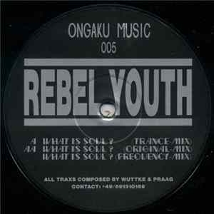 Rebel Youth - What Is Soul? flac