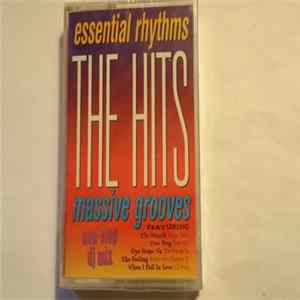 Various - The Hits - Non-Stop DJ Mix of Essential Rhythms & Massive Grooves flac