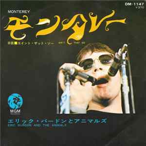 Eric Burdon And The Animals - Monterey flac