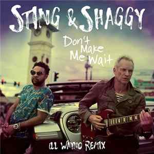 Sting & Shaggy - Don't Make Me Wait (iLL Wayno Remix) flac