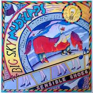 The Big Sky Mudflaps - Sensible Shoes flac