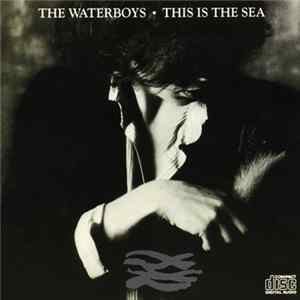 The Waterboys - This Is The Sea flac