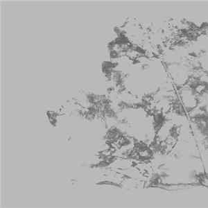 Forest Management - Slices flac