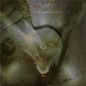 Mariolina Zitta - Concert For Bats,Voices And Natural Sounds flac