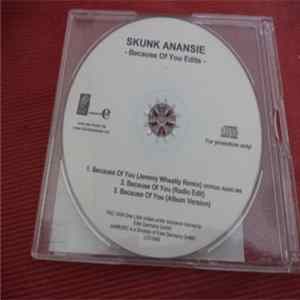 Skunk Anansie - Because Of You Edits flac