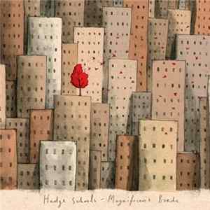 The Hedge Schools - Magnificent Birds flac