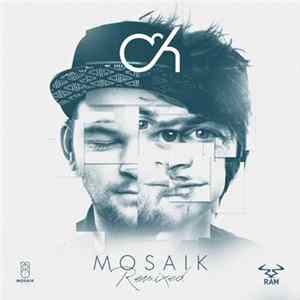 Camo & Krooked - Mosaik Remixed flac