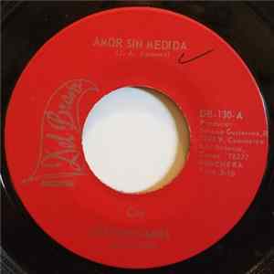 Los Gavilanes - Amor Sin Medida flac