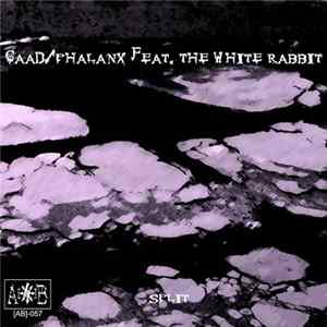 GAAD / Phalanx Feat. The White Rabbit - Split flac