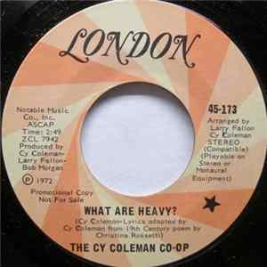 The Cy Coleman Co-op - What Are Heavy? flac