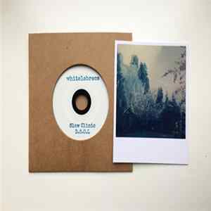 Slow Clinic - Discarded Things Once Loved flac