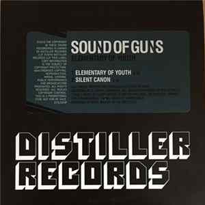 Sound Of Guns - Elementary Of Youth flac