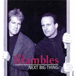 The Brambles - Next Big Thing flac