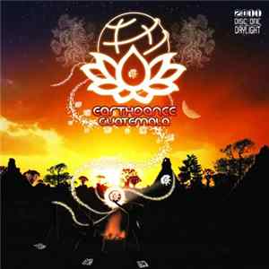 Various - Earthdance Guatemala 2011 - Daylight flac