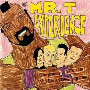 The Mr. T Experience - Everybody's Entitled To Their Own Opinion flac