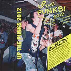 Various - Up The Punks Bootleg Tape 2012 flac