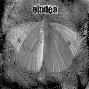 Elodea - Elodea flac