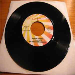 BDF, Roberto Sanchez - Breaking the rules flac