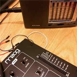 elizabeth Veldon - Radiophrenia Practice 2 flac