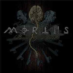Mortiis - Perfectly Defect flac