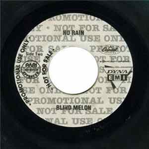 Blind Melon - No Rain flac