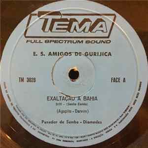 E.S. Amigos de Gurijica - Exaltação A Bahia flac