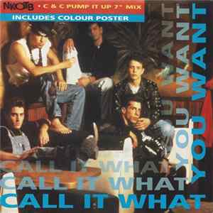 New Kids On The Block - Call It What You Want flac