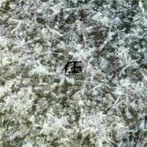 Nearfield - G5 flac