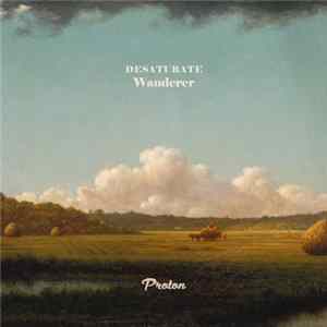 Desaturate - Wanderer flac