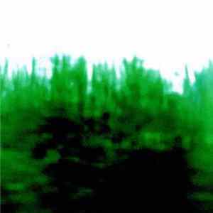 Lasse-Marc Riek - Feeding Buzzes Of European Bats flac