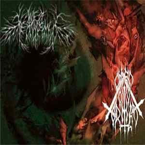 Mire Of Despondency / Omen Ov Torment - December Winds And Luciferian Mists flac