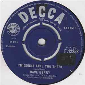 Dave Berry - I'm Gonna Take You There flac