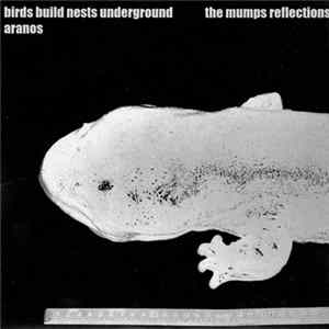 Birds Build Nests Underground & Aranos - The Mumps Reflections flac