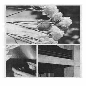 Anasisana - Sad For The Rest Of My Life flac