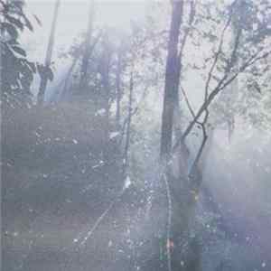 Lux Natura - Ephemerals flac