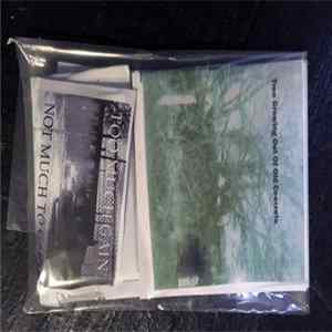 Brian Ruryk - Too Much Gain Not Much To Gain flac