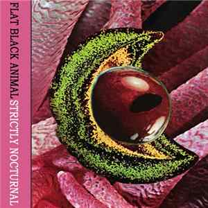 Flat Black Animal - Strictly Nocturnal flac