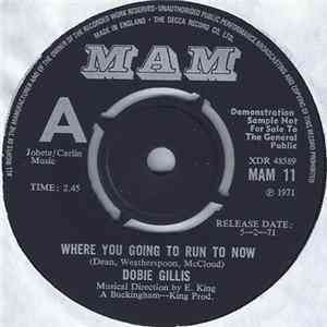 Dobie Gillis - Where You Going To Run To Now flac