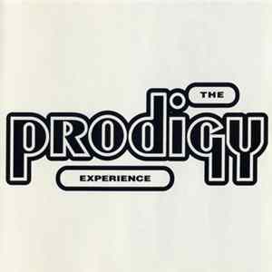 The Prodigy - Experience flac
