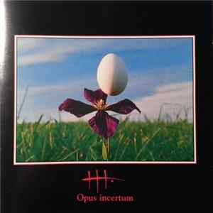 HH - Opus Incertum flac