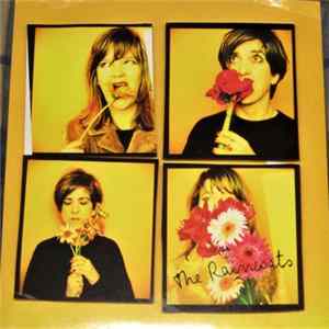 The Raincoats - Don't Be Mean flac