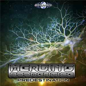 Merlin's Apprentice - Predestination flac