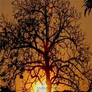 Xu Xu Fang - Seven Days Now flac