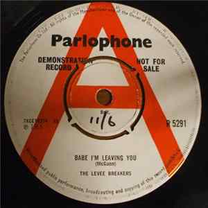 The Levee Breakers - Babe I'm Leaving You flac