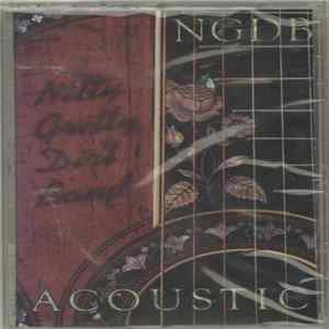 Nitty Gritty Dirt Band - Acoustic flac