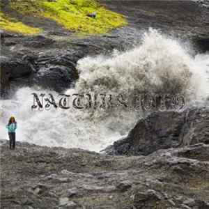 Björk - Náttúra (Switch Remix) flac