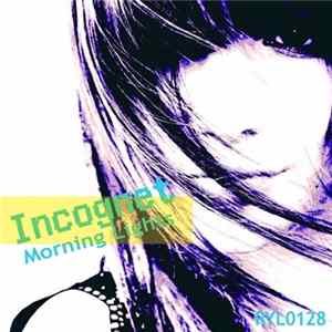 Incognet - Morning Lights flac